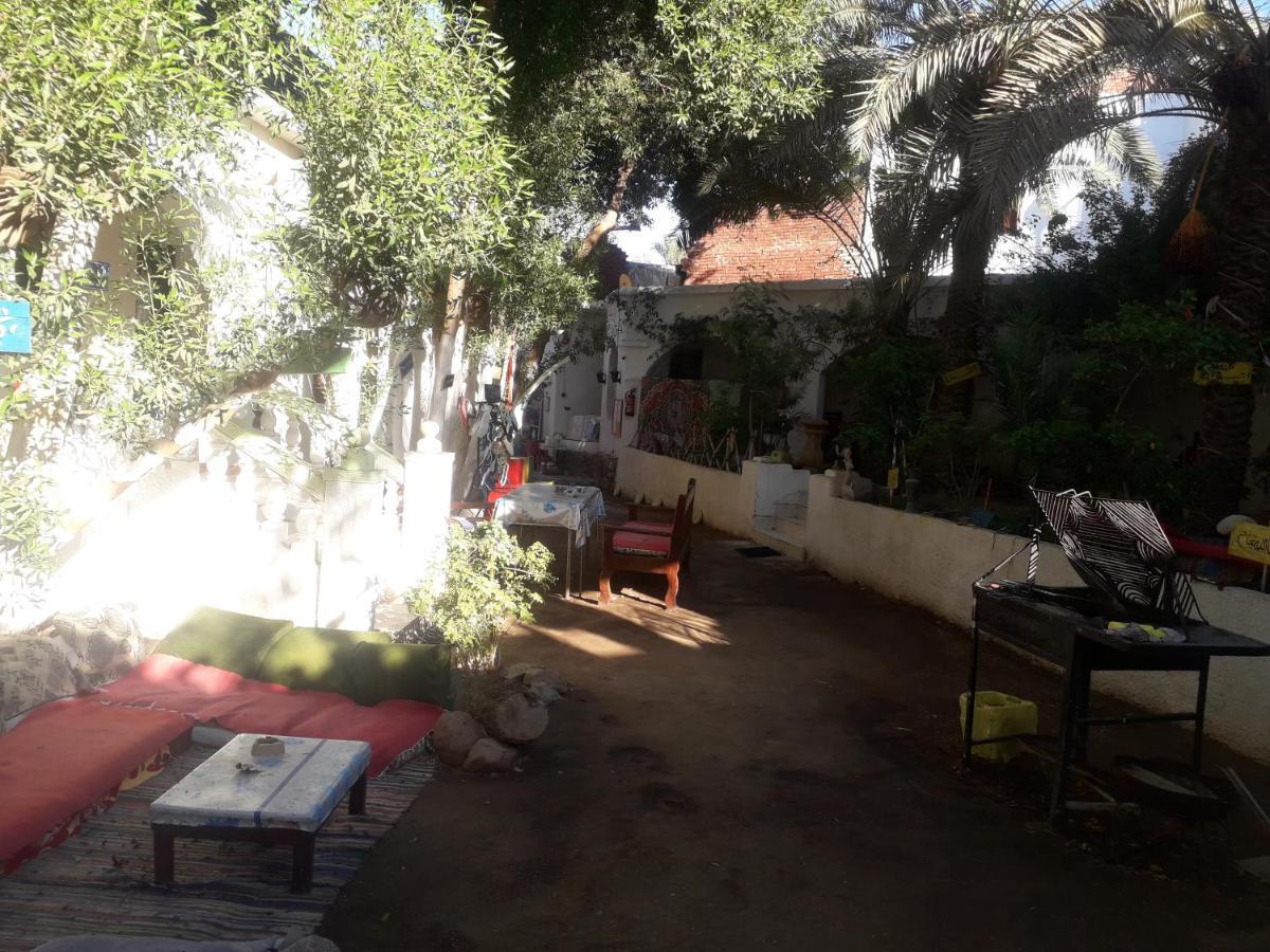 Hotel Fighting Kangaroo Camp à Dahab Extérieur photo