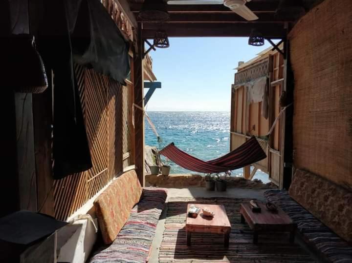 Hotel Fighting Kangaroo Camp à Dahab Extérieur photo
