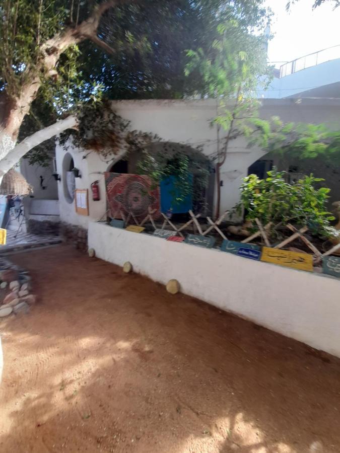 Hotel Fighting Kangaroo Camp à Dahab Extérieur photo