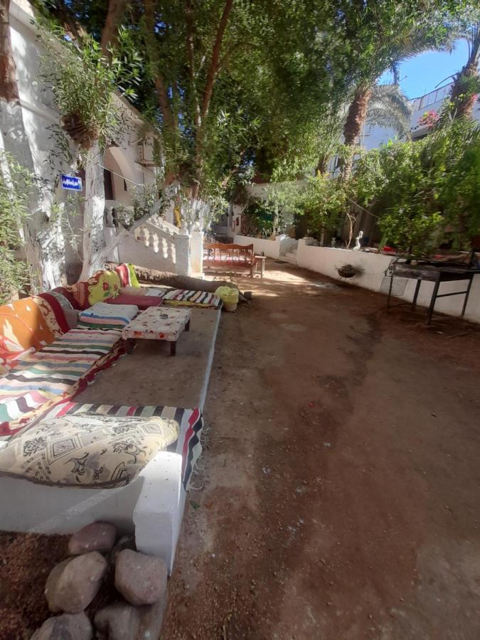 Hotel Fighting Kangaroo Camp à Dahab Extérieur photo