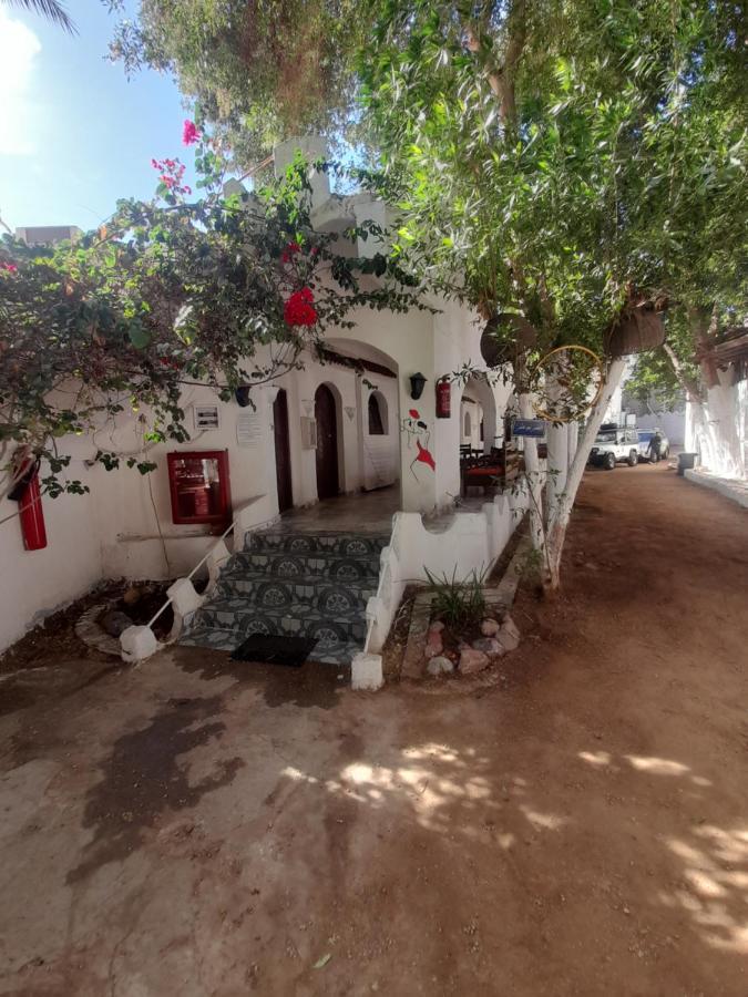 Hotel Fighting Kangaroo Camp à Dahab Extérieur photo