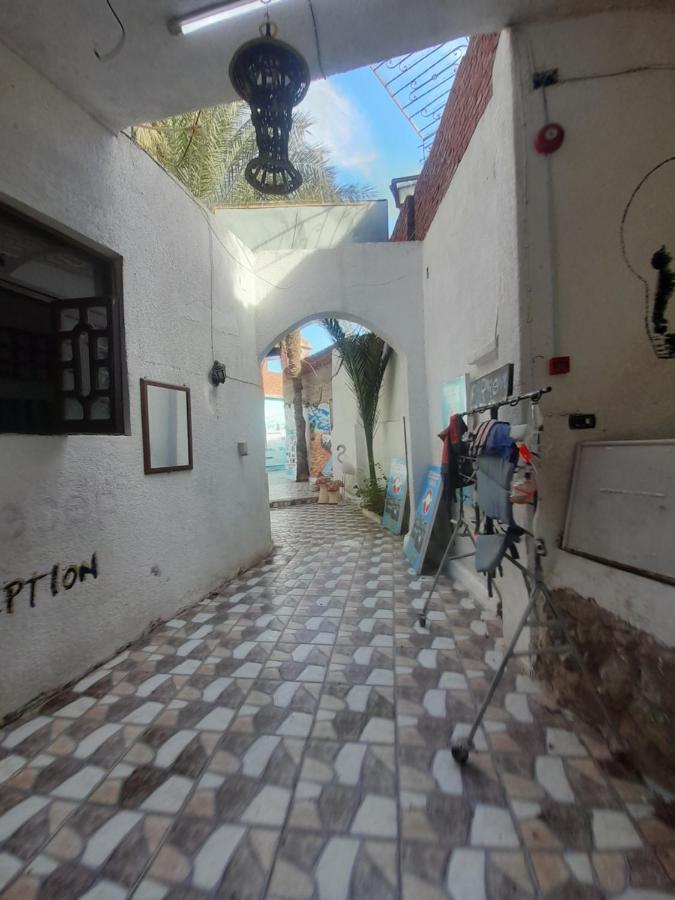 Hotel Fighting Kangaroo Camp à Dahab Extérieur photo