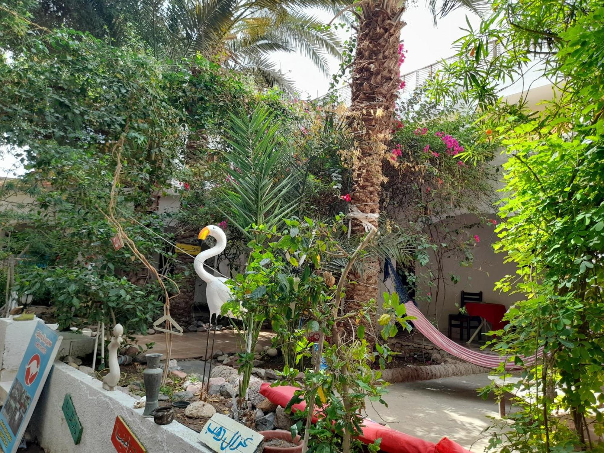 Hotel Fighting Kangaroo Camp à Dahab Extérieur photo