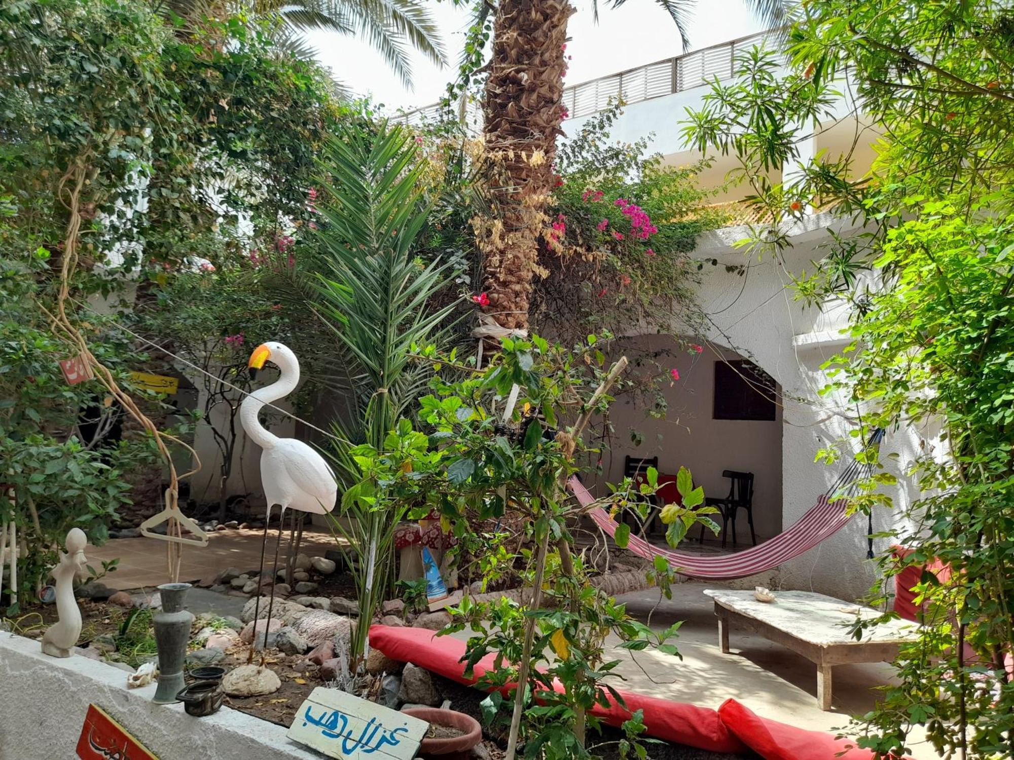 Hotel Fighting Kangaroo Camp à Dahab Extérieur photo